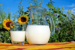 Молочные продукты в рационе: быть или не быть?